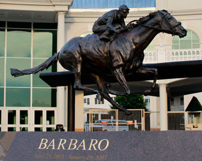 Barbaro (horse)