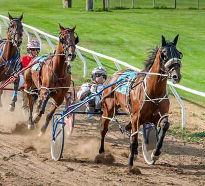 Harness racing