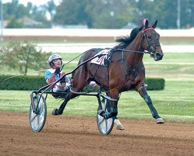 Harness racing