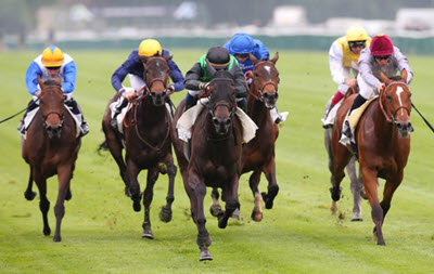 Flat racing - Horse racing in Delaware