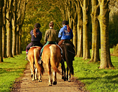 horseback